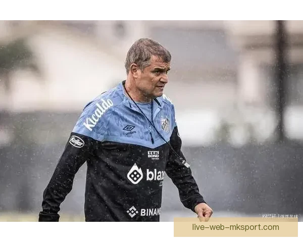 贝利缔造的巴西足球传奇纪录与时代影响历史与精神价值探析